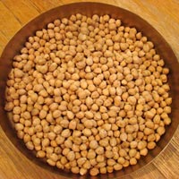 Manufacturers Exporters and Wholesale Suppliers of White Chickpeas penukonda Andhra Pradesh
